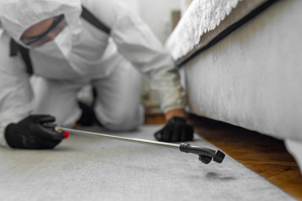 Professional Termite Control technician working in Arcadia, IN